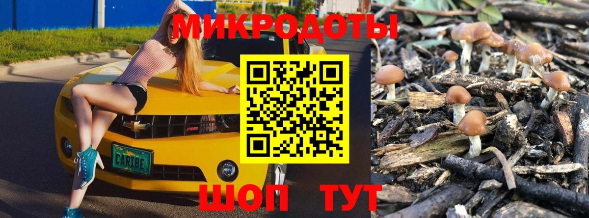 Галлюциногенные грибы Magic Shrooms  Псилоцибиновые грибы Psilocybe  Вход с VPN  где купить наркоту  Каменка 