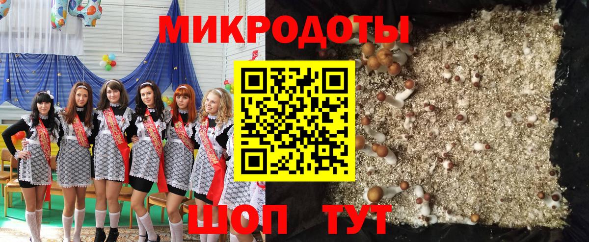 Галлюциногенные грибы мицелий Каменка